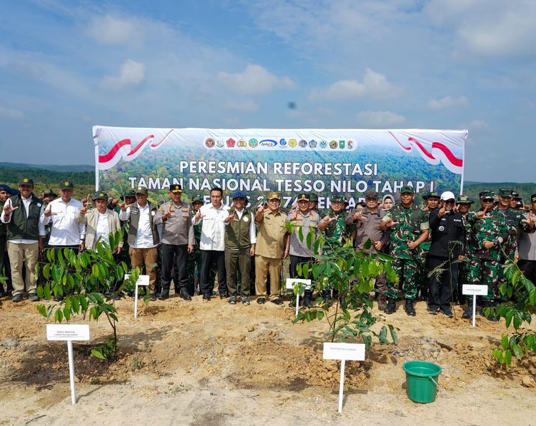 reforestasi skala besar Tesso Nilo